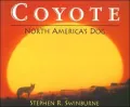 Coyote