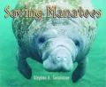 Saving Manatees