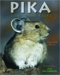 Pika: Life in the Rocks
