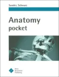 Anatomy Pocket