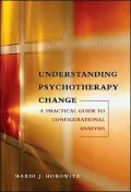Understanding Psychotherapy Change: A Practical Guide to Configurational Analysis