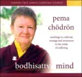 Bodhisattva Mind: Teachings to Cultivate Courage and Awareness in the Midst of Suffering
