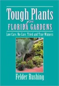 Tough Plants For Florida Gardens: Low Care, No Care, Tried and True Winners