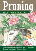 Pruning