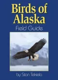 Birds of Alaska Field Guide
