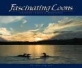 Fascinating Loons: Amazing Images and Behaviors