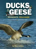 Ducks and Geese of Minnesota Field Guide: Includes Swans and Other Water Birds