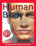 Human Body: The Ultimate Guide to How the Body Works