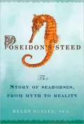 Poseidon's Steed: The Story of Seahorses, from Myth to Reality