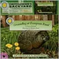 Groundhog at Evergreen Road