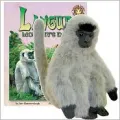 Langur Monkey's Day