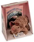 Triceratops Gets Lost (Smithsonian's Prehistoric Pals Series)