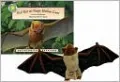 Red Bat at Sleep Hollow Lane