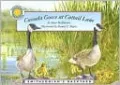 Canada Goose at Cattail Lane