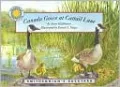 Canada Goose at Cattail Lane
