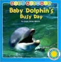 Baby Dolphin's Busy Day