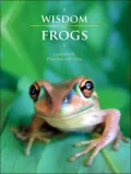 Wisdom of Frogs