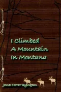 I Climbed A Mountain In Montana