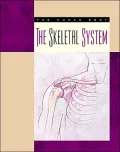 The Skeletal System