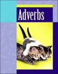 Adverbs
