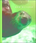 Sea Otters