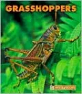 Grasshoppers