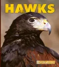 Hawks