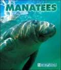 Manatees