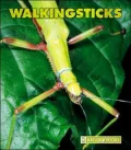 Walkingsticks