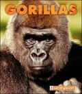 Gorillas