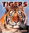 Tigers