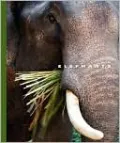 Elephants