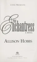 Book cover of The Enchantress