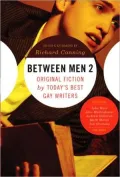 Between Men 2: Original Fiction by Today's Best Gay Writers, Vol. 2