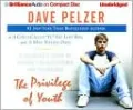 The Privilege of Youth: A Teenager's Story of Longing for Acceptance and Friendship