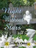 Night Without Stars