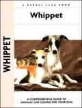Whippet (Kennel Club Dog Breed Series)