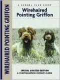 Wirehaired Pointing Griffon