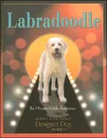 Labradoodle