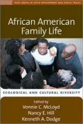 African American Family Life : Ecological and Cultural Diversity