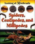 Spiders, Centipedes, and Millipedes (Looking at Minibeasts)