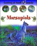 Marsupials
