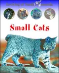 Small Cats