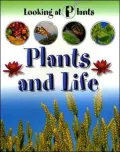 Plants and Life (Looking at Plants)