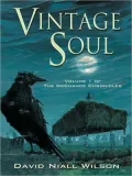 Vintage Soul