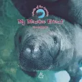 My Manatee Friend