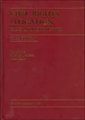 Civil Rights Litigation: Cases and Perspectives (Third Edition)