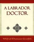 A Labrador Doctor