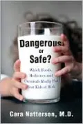 Dangerous or Safe?: A Guidebook for a Generation of Concerned Parents