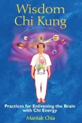 Book cover of Wisdom Chi Kung